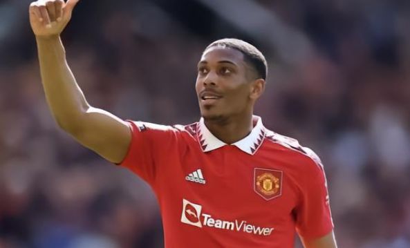 尽管过去几 尽管过去几